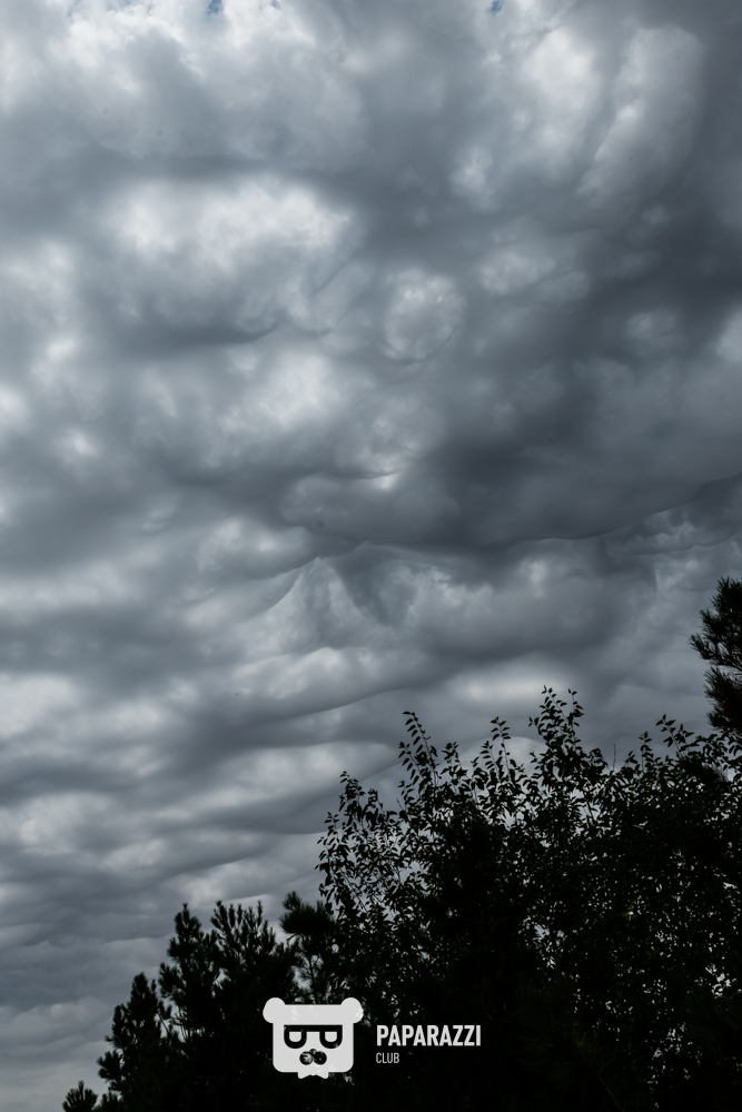 Visit Shymkent Info Tour 2024 Day 1 Шымкент 28.06.2024 Visit Shymkent Info Tour 2024 Day 1