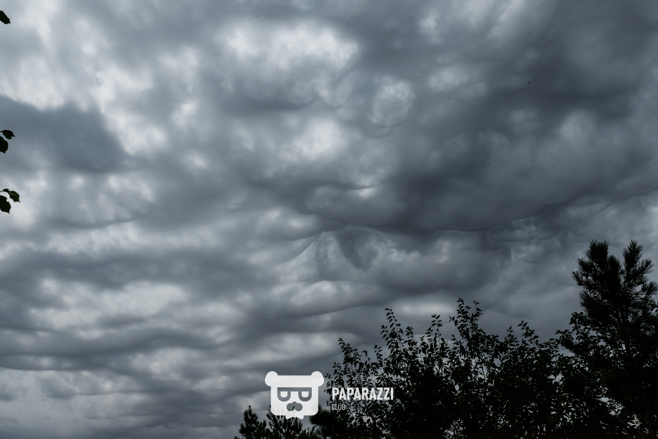 Visit Shymkent Info Tour 2024 Day 1 Шымкент 28.06.2024 Visit Shymkent Info Tour 2024 Day 1