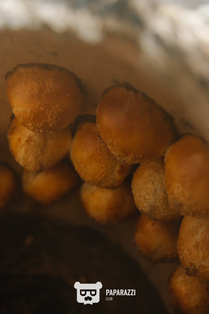 Visit Shymkent Info Tour 2024 Day 1 Шымкент 28.06.2024 Visit Shymkent Info Tour 2024 Day 1